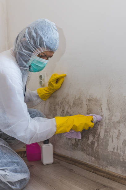 Buffalo, OK Mold Removal Company