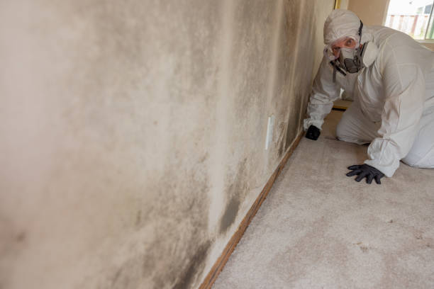 Best Real Estate Mold Inspection  in Buffalo, OK